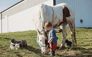 horse and small boy